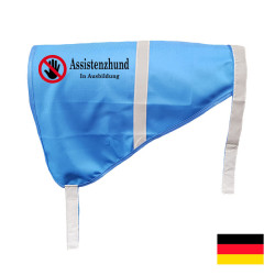 Assistenzhund in Ausbildung blauw