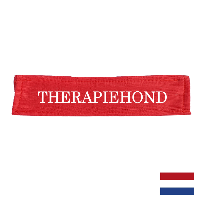 Therapiehond