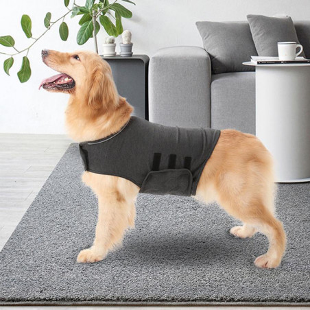 Thundershirt