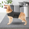 Thundershirt