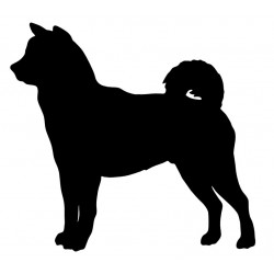 Akita