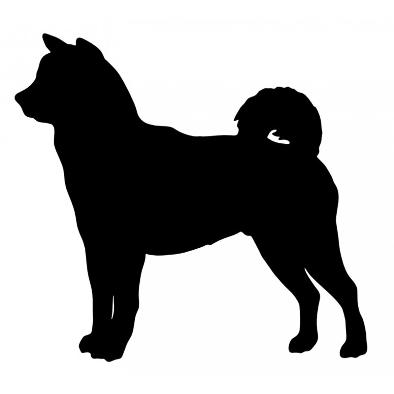 Akita